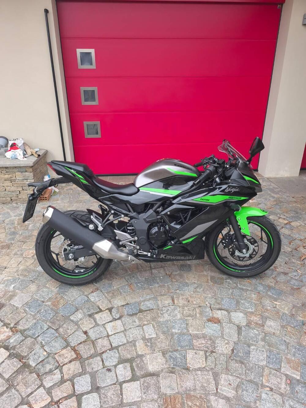 Kawasaki Ninja 125 (2021 - 24) (3)