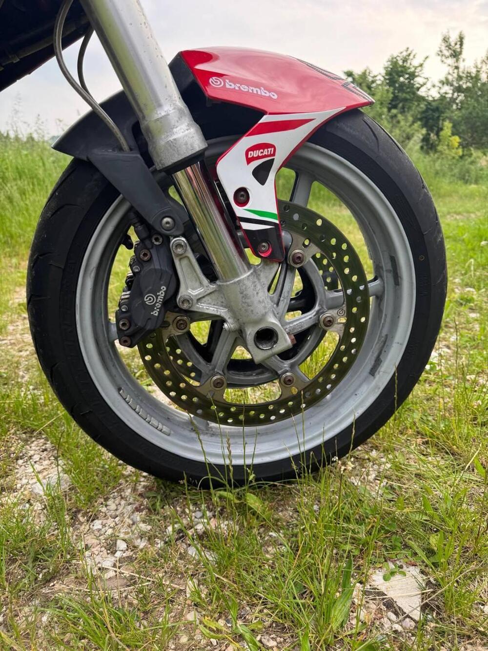 Ducati Multistrada 1000 DS (2003 - 06) (8)