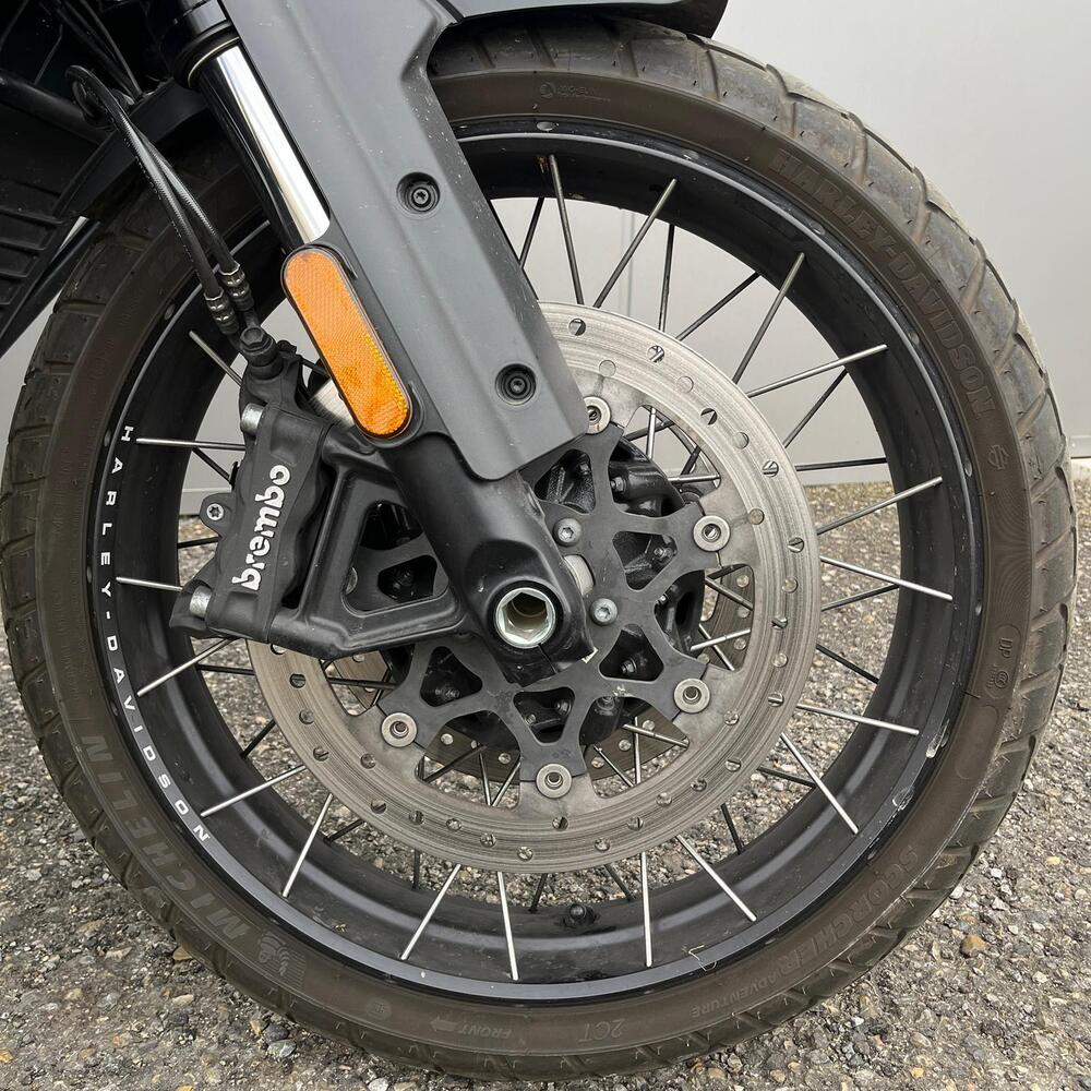 Harley-Davidson Pan America 1250 Special (2020 - 25) (11)