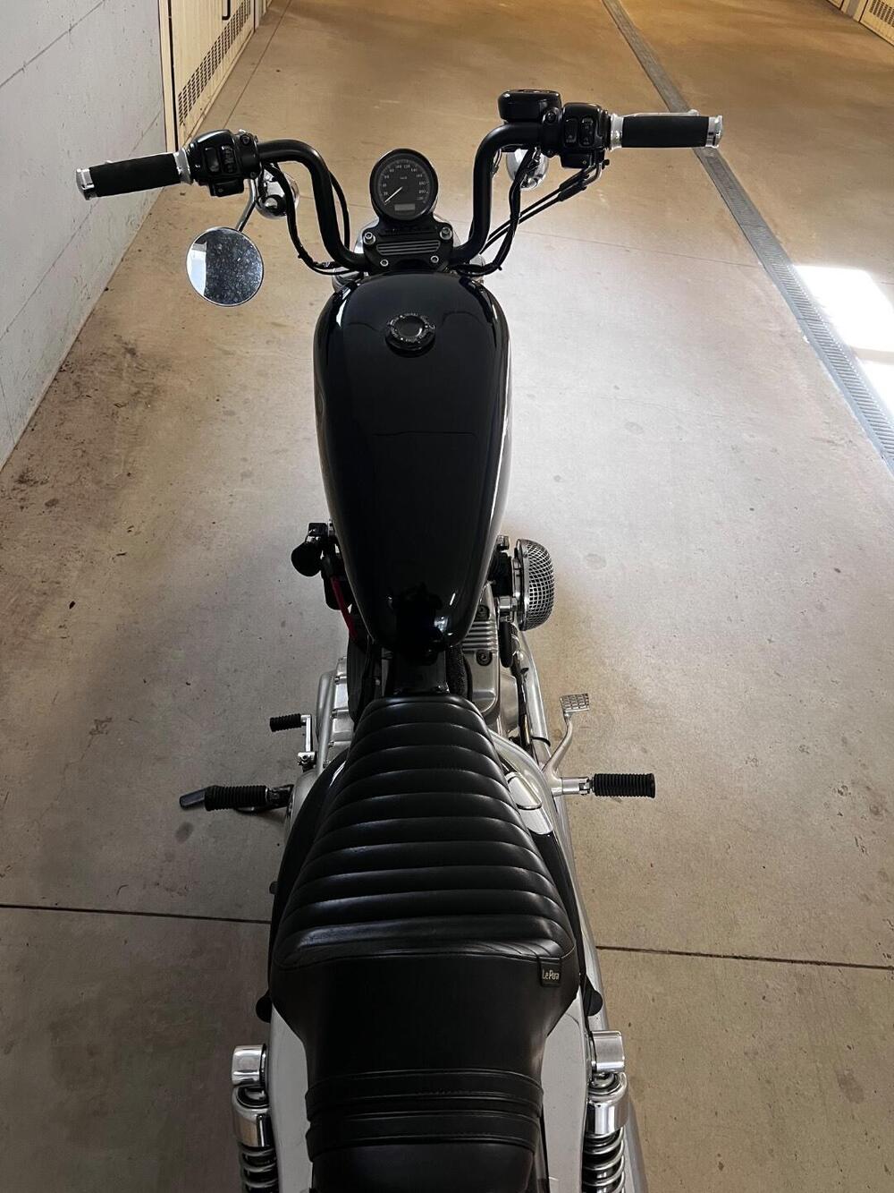 Harley-Davidson 883 (2008 - 09) - XL (3)