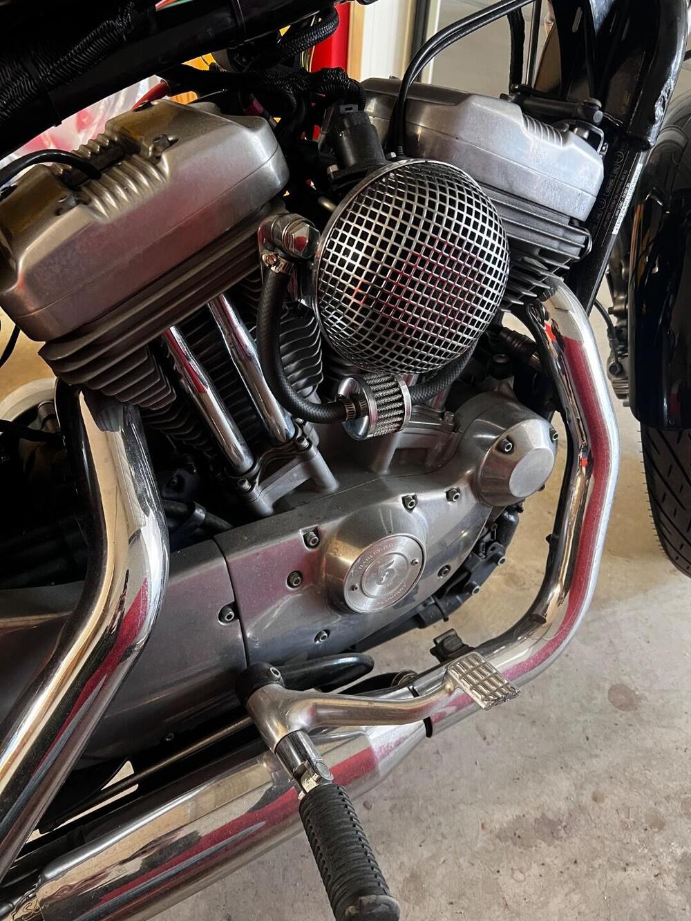 Harley-Davidson 883 (2008 - 09) - XL (5)