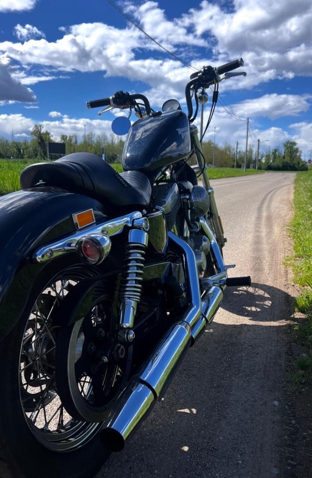 Harley-Davidson 883 (2008 - 09) - XL (9)