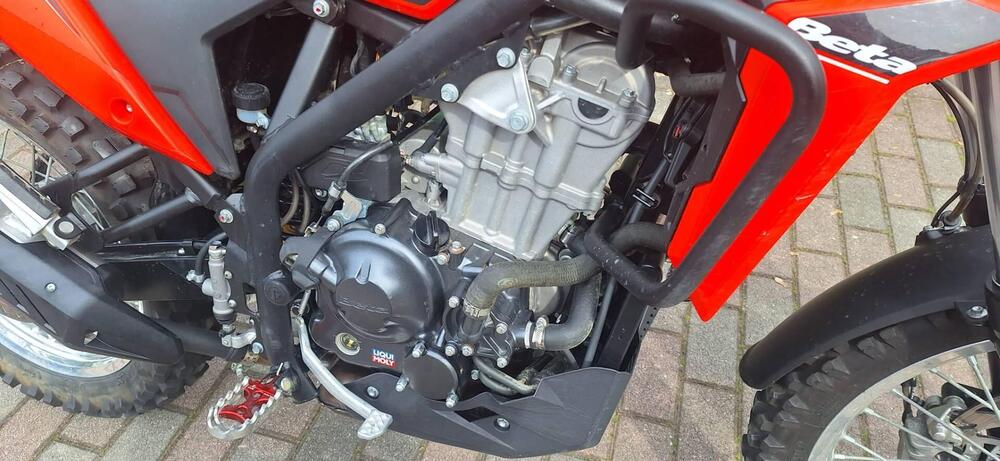 Betamotor Alp 4.0 (2024 - 26) (2)