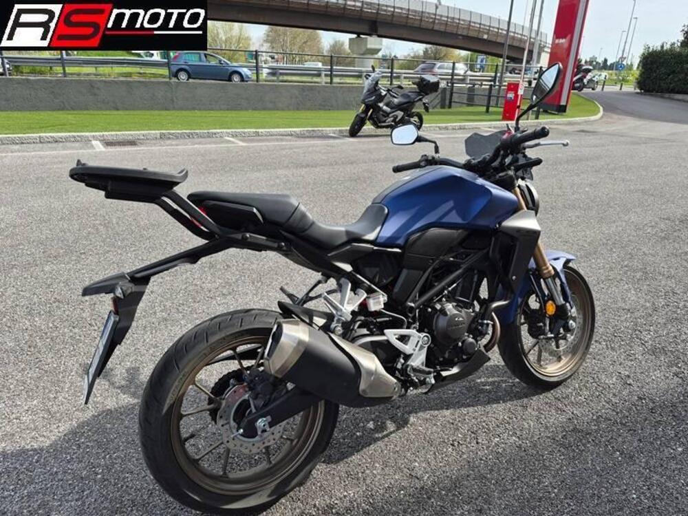 Honda CB 300 R (2022 - 26) (3)
