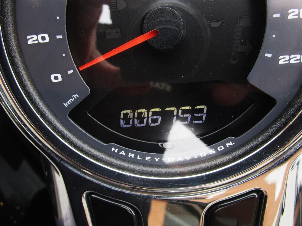 Harley-Davidson Fat Boy 114 (2021 - 24) (9)