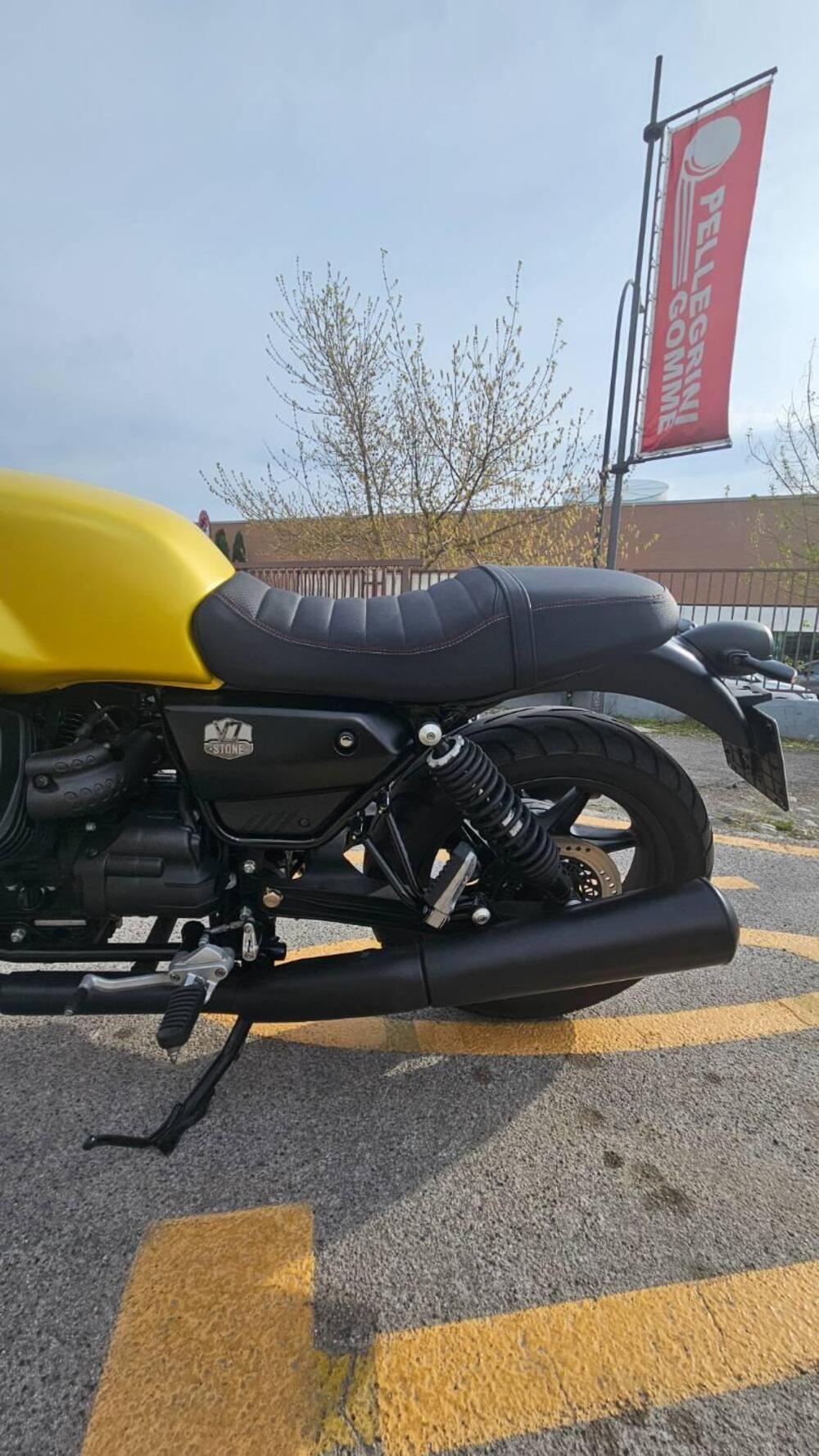 Moto Guzzi V7 Stone (2021 - 24) (5)