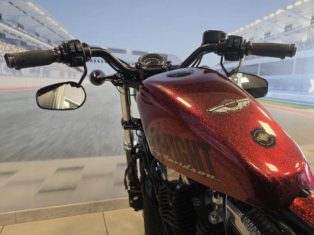 Harley-Davidson 1200 Forty-Eight (2010 - 15) (7)