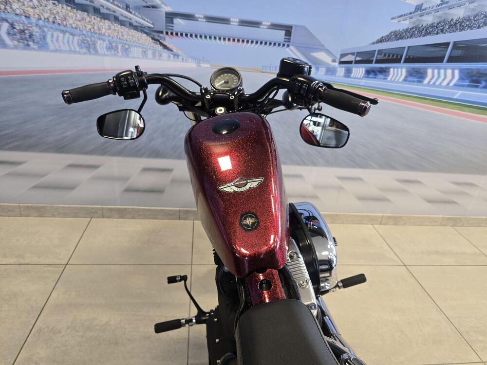 Harley-Davidson 1200 Forty-Eight (2010 - 15) (18)