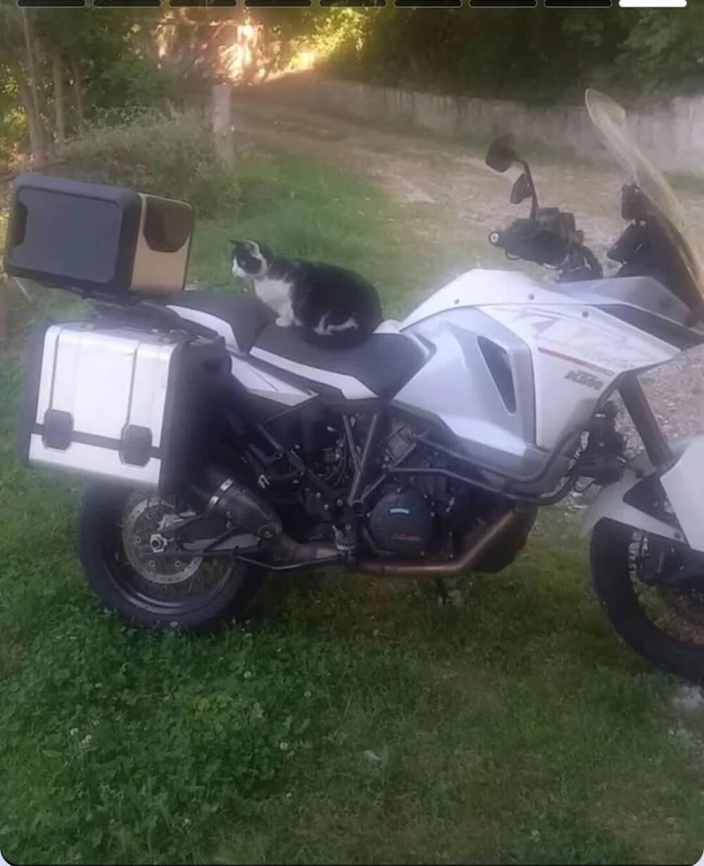 KTM 1290 Super Adventure T (2017) (6)