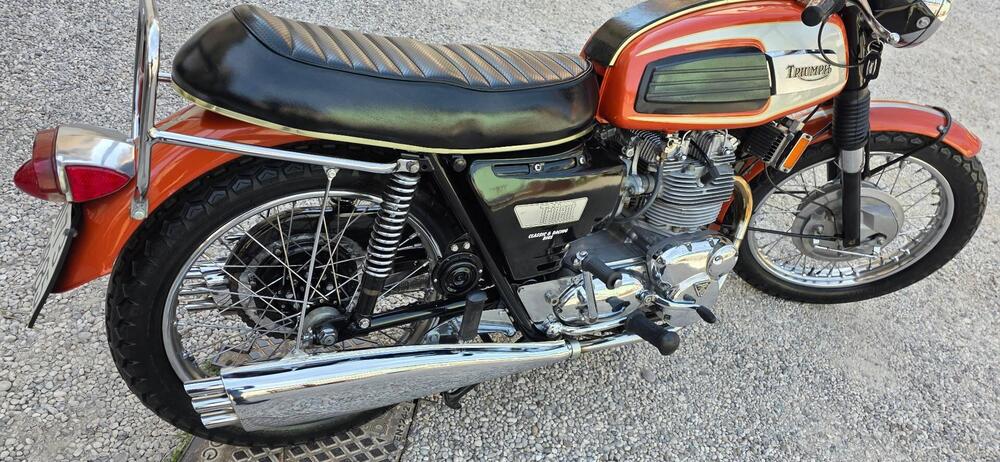 Triumph TRIDENT T 150 (5)