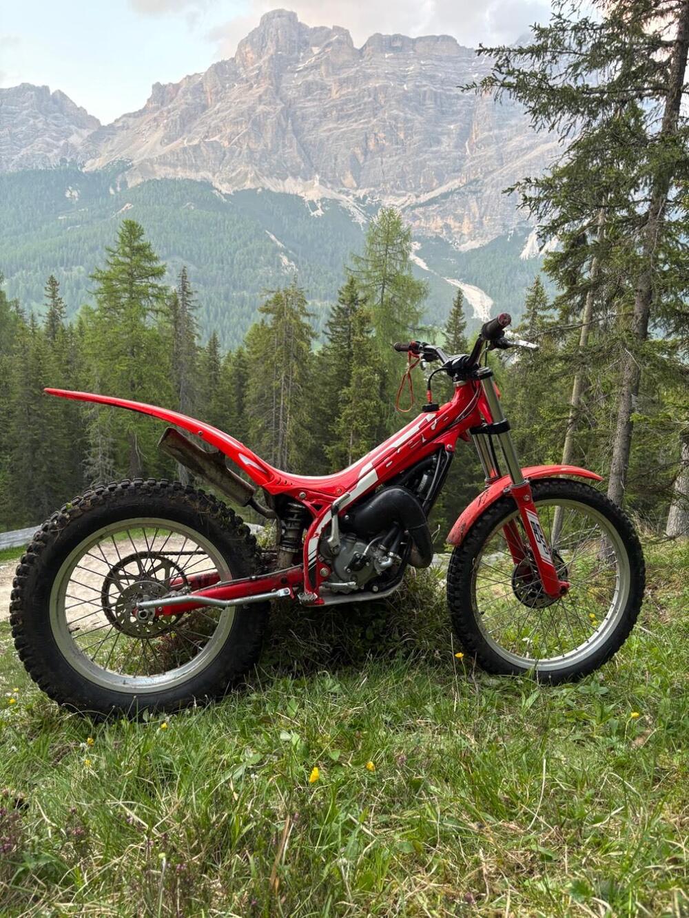 Betamotor Evo 80 Senior (2025 - 26)