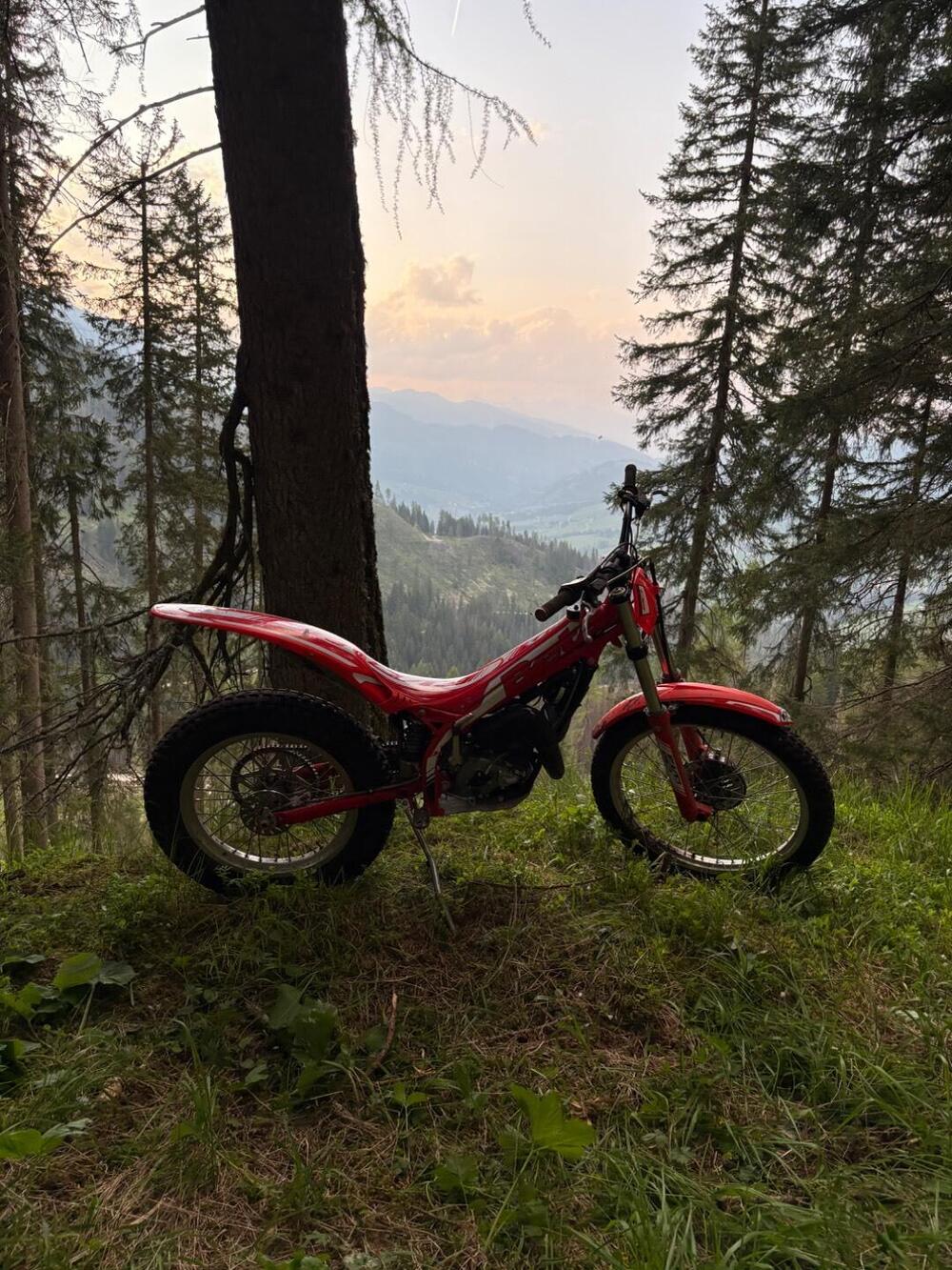 Betamotor Evo 80 Senior (2025 - 26) (2)