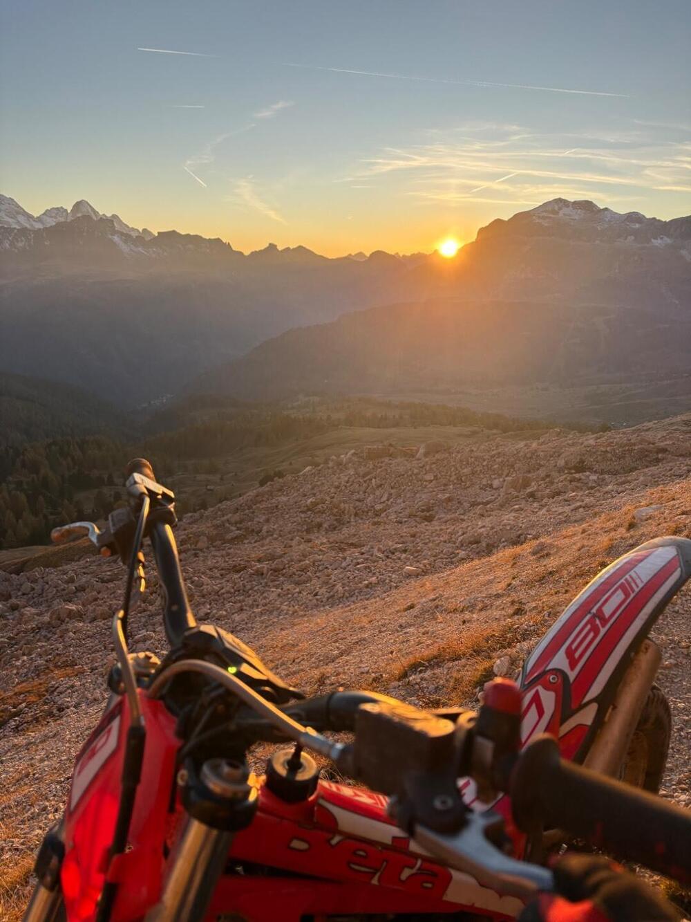 Betamotor Evo 80 Senior (2025 - 26) (4)