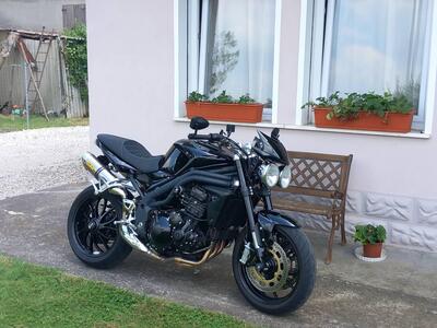 Triumph Speed Triple 1050 (2005 - 11) usata