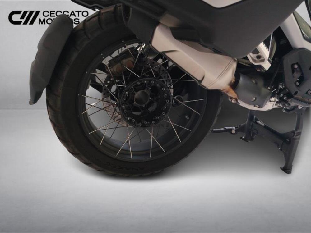 Bmw R 1300 GS Trophy (2023 - 26) (15)