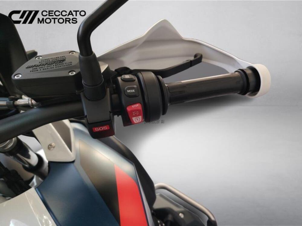 Bmw R 1250 GS (2021 - 24) (11)