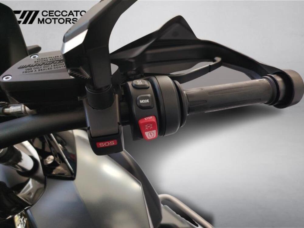 Bmw R 1250 GS (2021 - 24) (12)