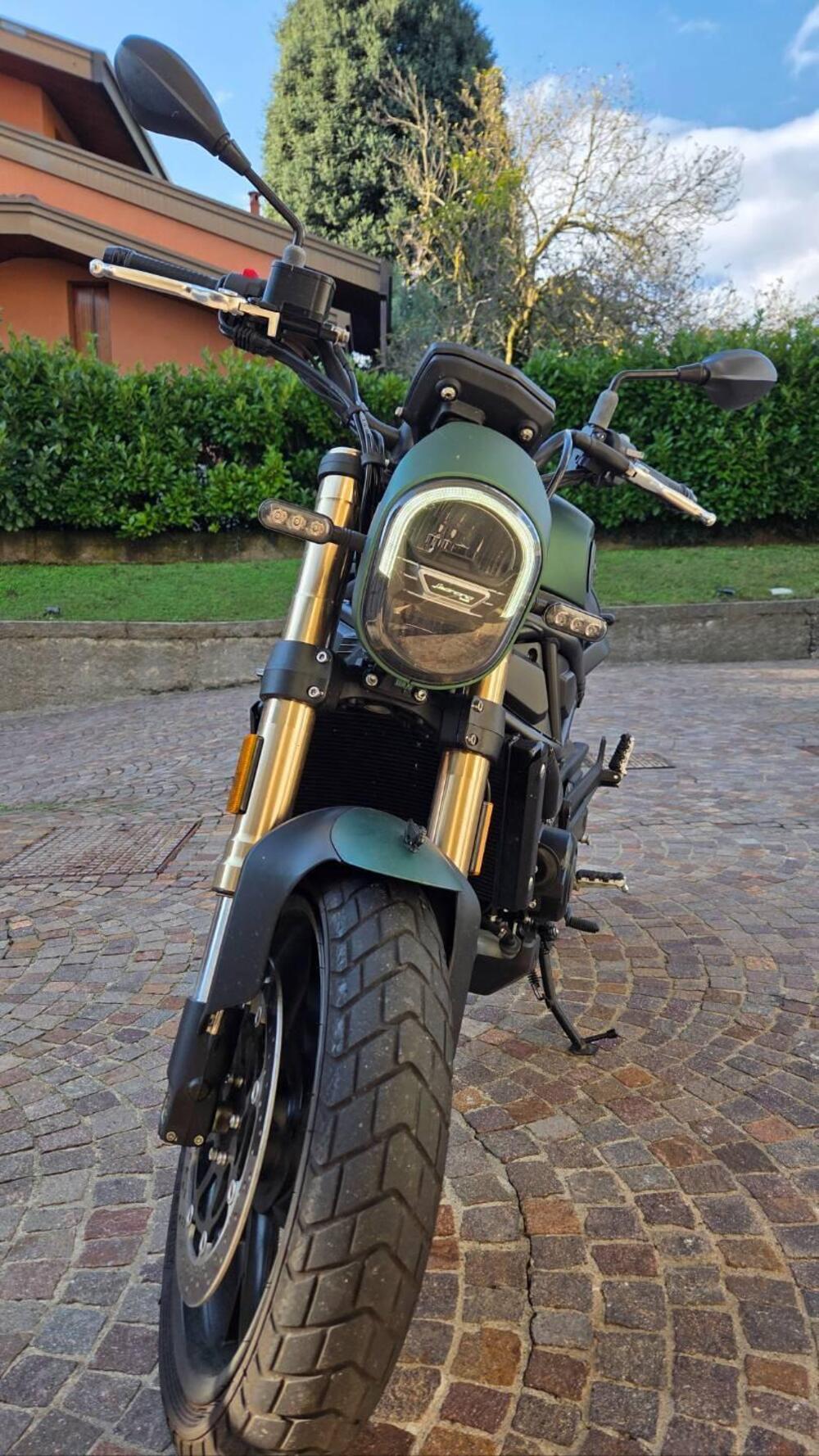 Benelli Leoncino 800 (2022 - 26) (3)