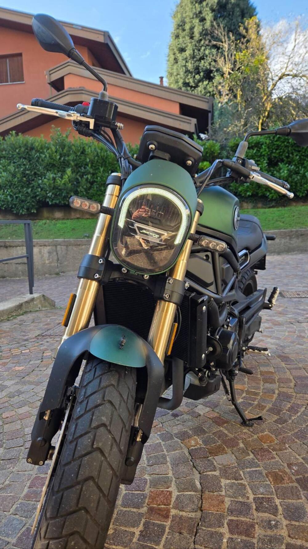 Benelli Leoncino 800 (2022 - 26) (6)