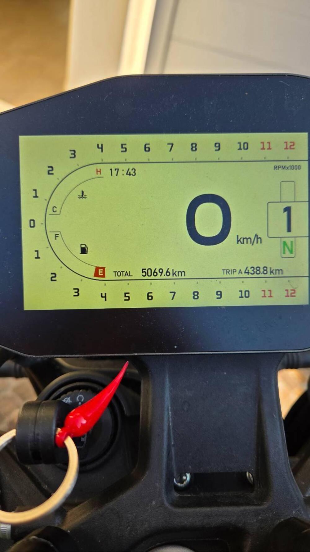 Benelli Leoncino 800 (2022 - 26) (7)