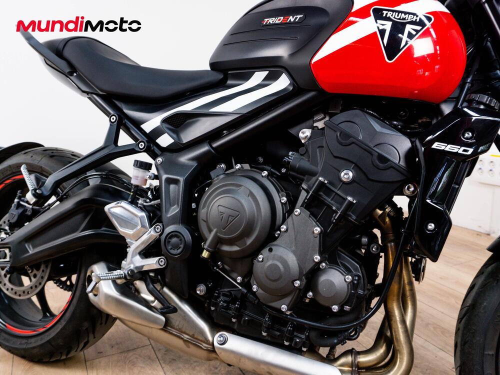 Triumph Trident 660 (2025) (5)