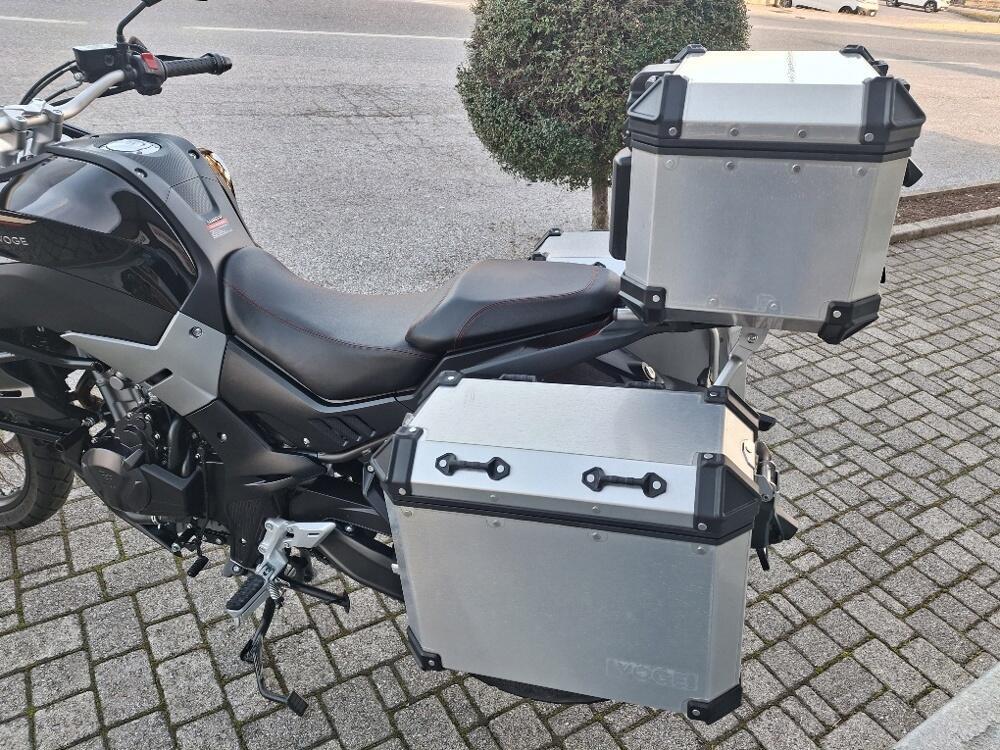 Voge Valico 500DSX (2021 - 24) (4)