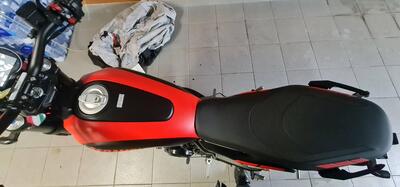 Ducati Scrambler 800 Full Throttle (2023 - 24) usata