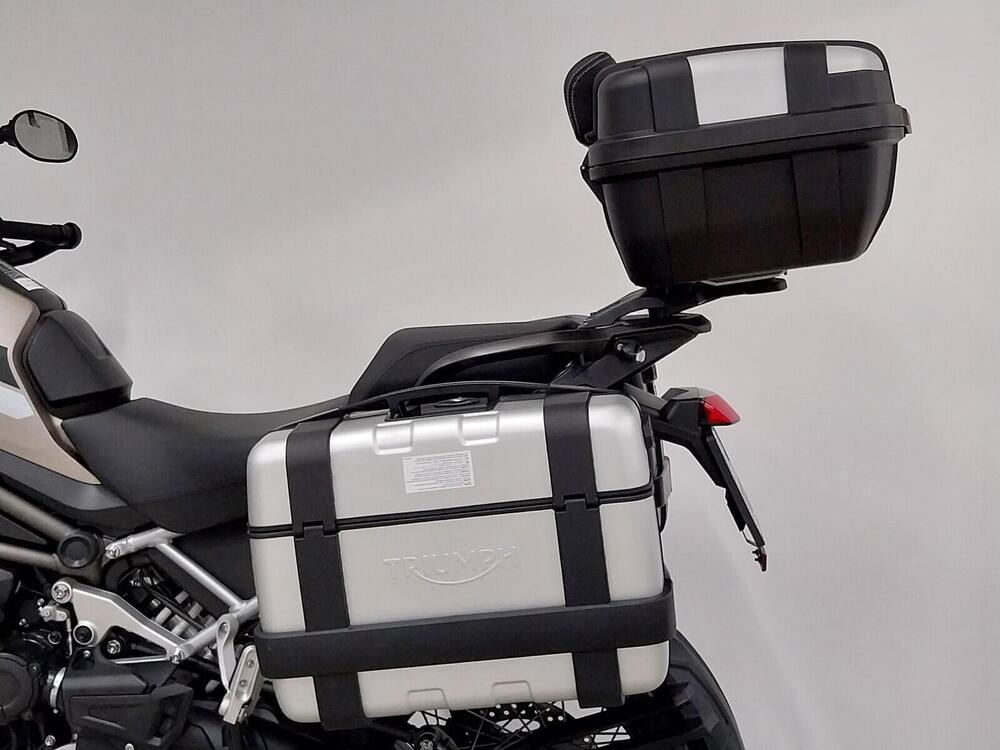 Triumph Tiger 1200 Rally Pro (2024 - 26) (13)