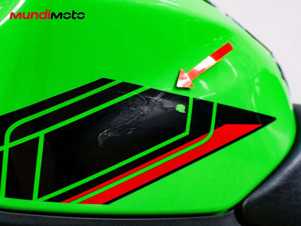 Kawasaki Ninja 500 (2024 - 26) (13)