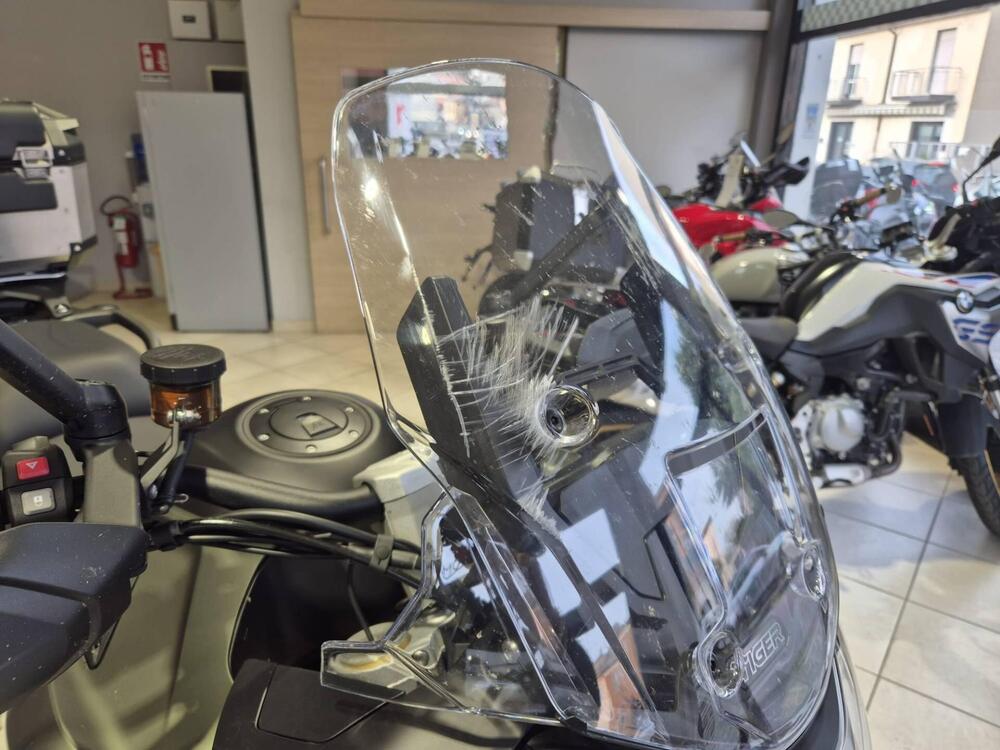 Triumph Tiger 1200 Rally Explorer (2024 - 26) (14)