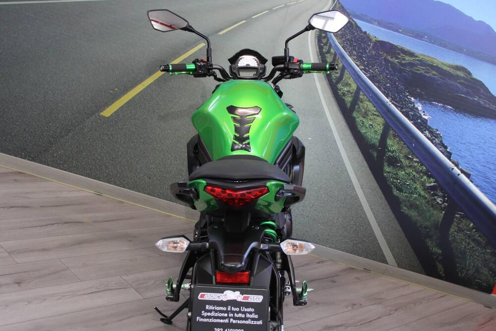 Kawasaki ER-6N ABS (2012 - 16) (19)