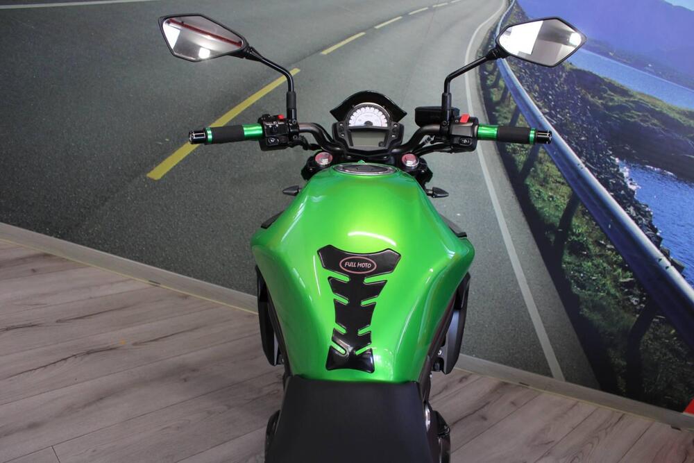 Kawasaki ER-6N ABS (2012 - 16) (20)