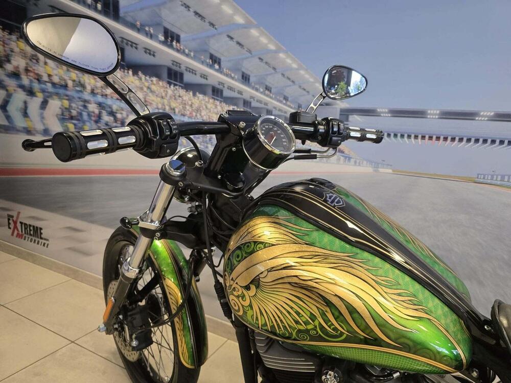 Harley-Davidson 1584 Blackline (2011 - 13) - FXS (8)