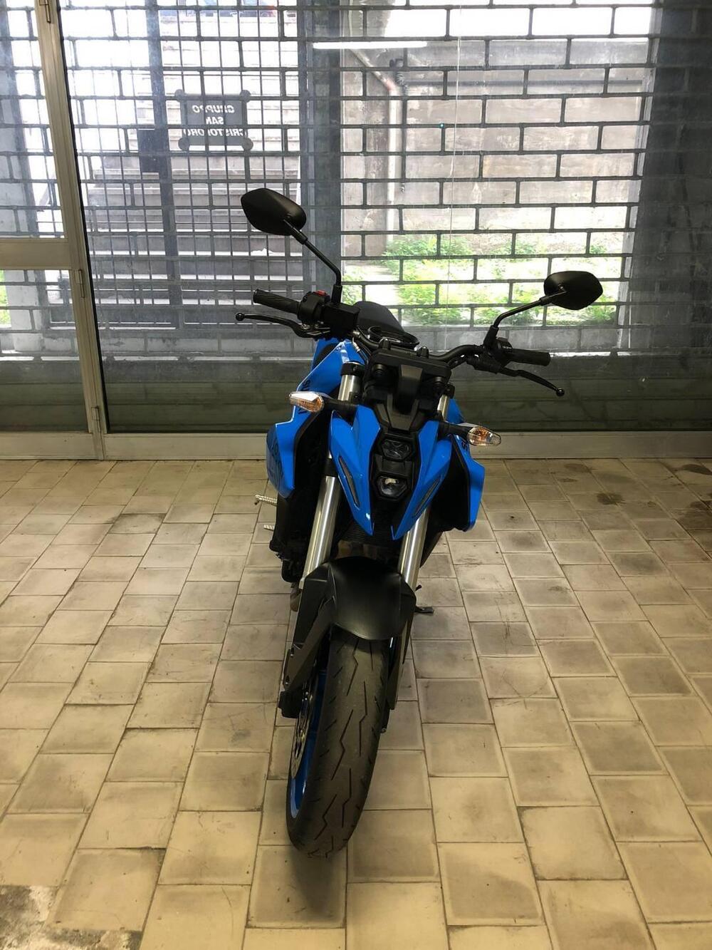 Suzuki GSX-8S (2023 - 24) (2)