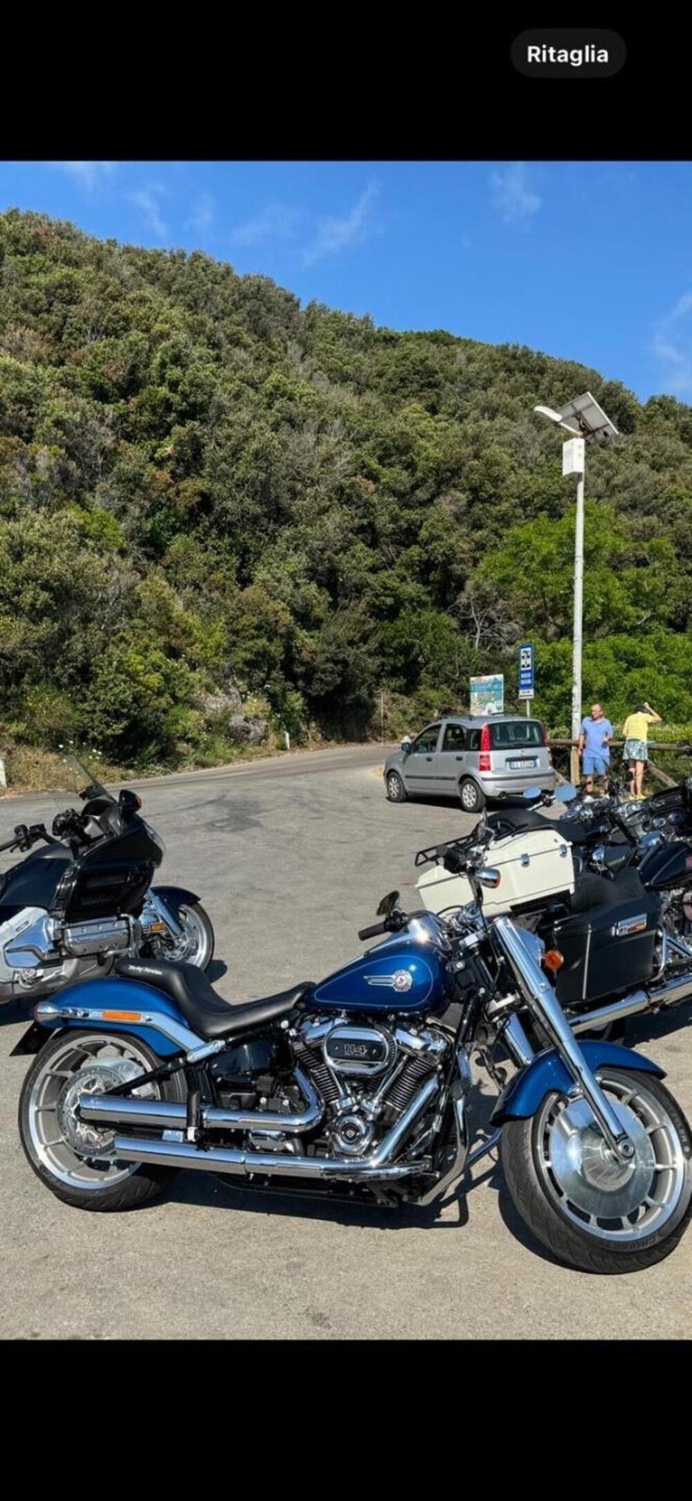 Harley-Davidson Fat Boy 114 (2021 - 24) (4)