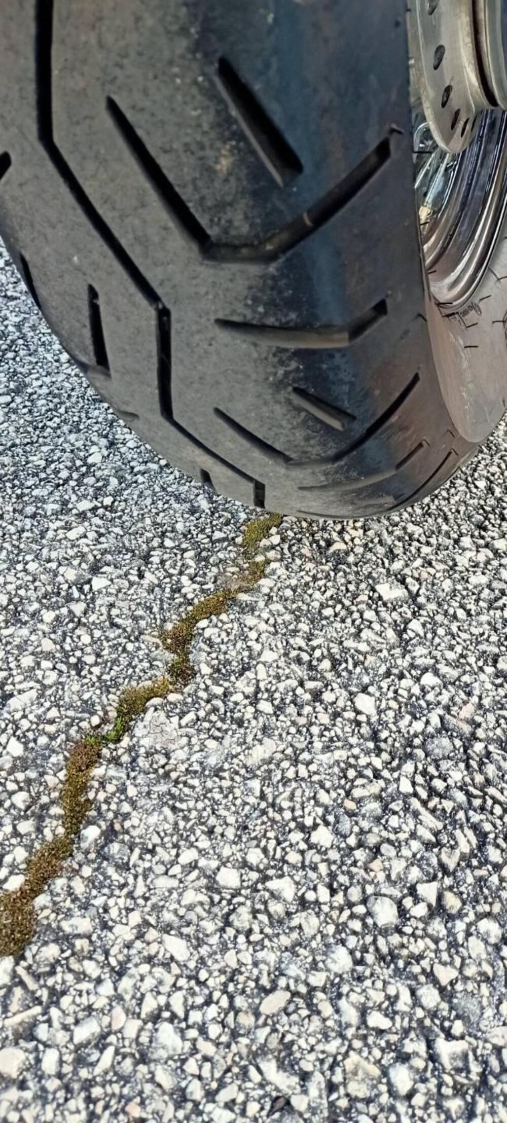 Honda Shadow 750 c (7)