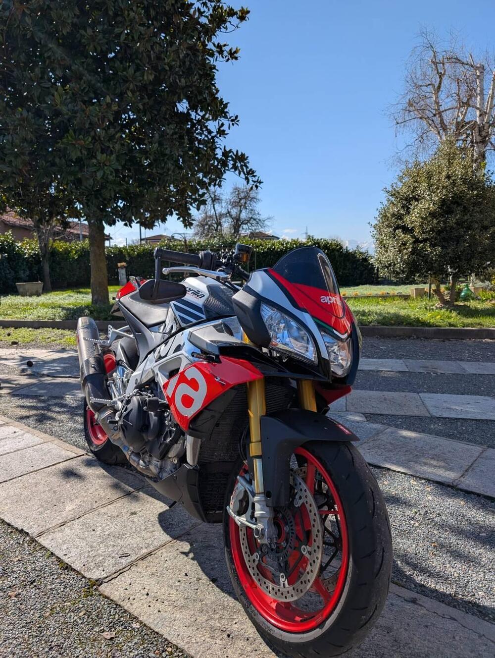 Aprilia Tuono V4 Factory (2017 - 18) (6)