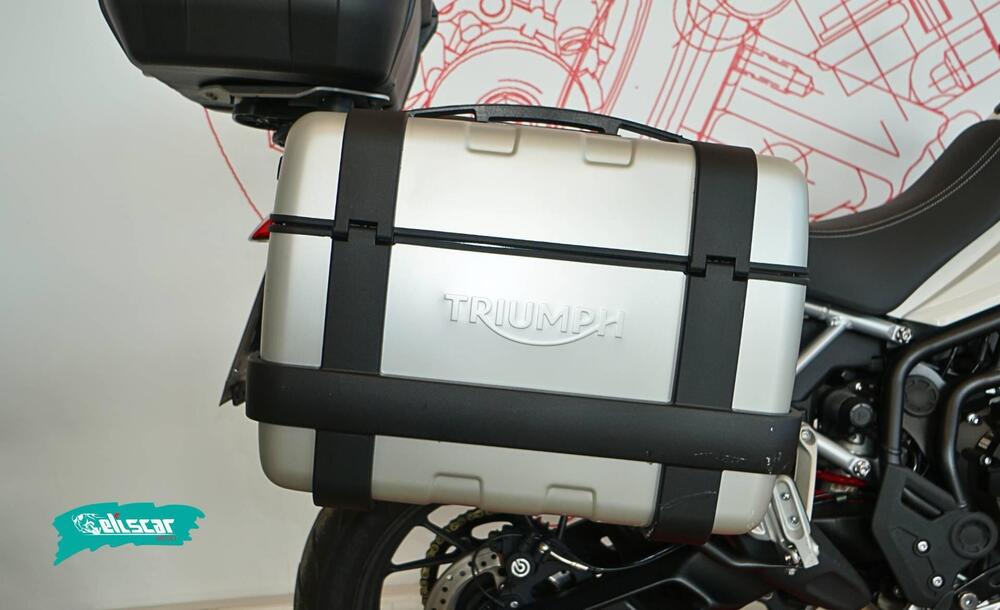 Triumph Tiger 900 GT Pro (2020 - 23) (6)