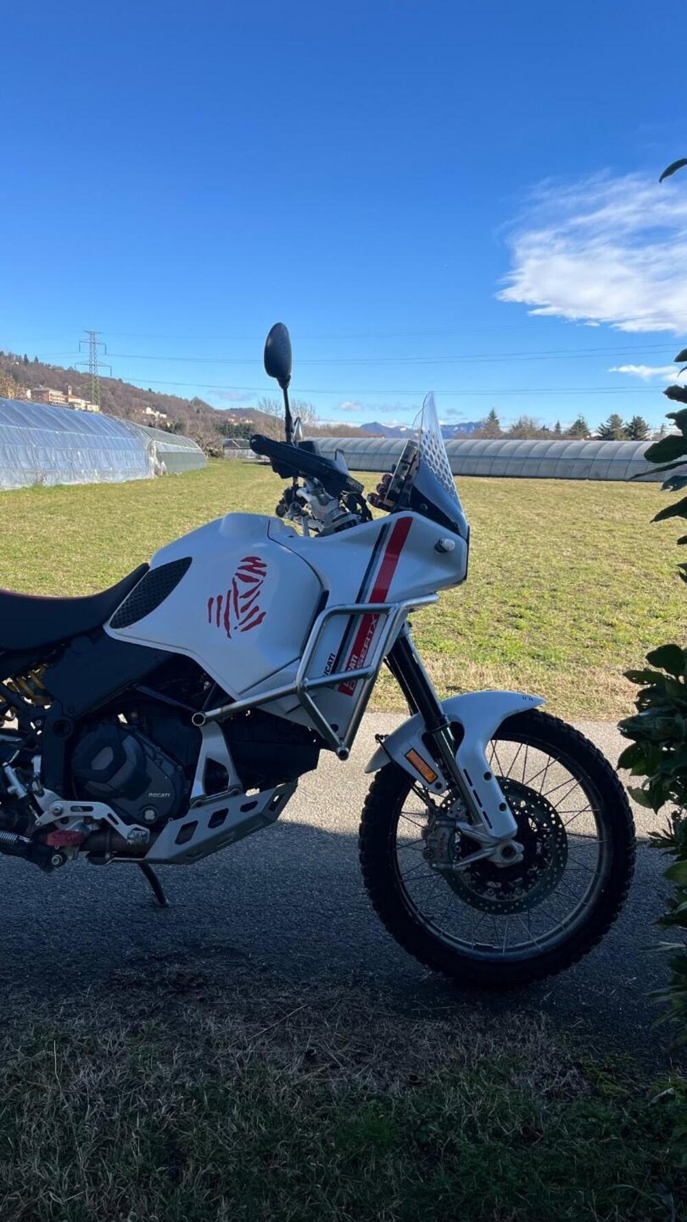 Ducati DesertX (2022 - 25) (6)