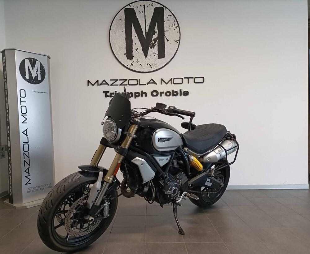 Ducati Scrambler 1100 (2018 - 20) (3)