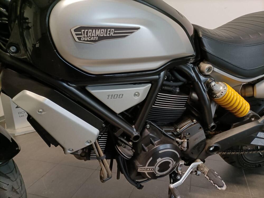 Ducati Scrambler 1100 (2018 - 20) (6)
