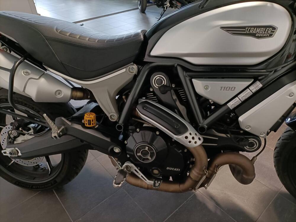 Ducati Scrambler 1100 (2018 - 20) (8)