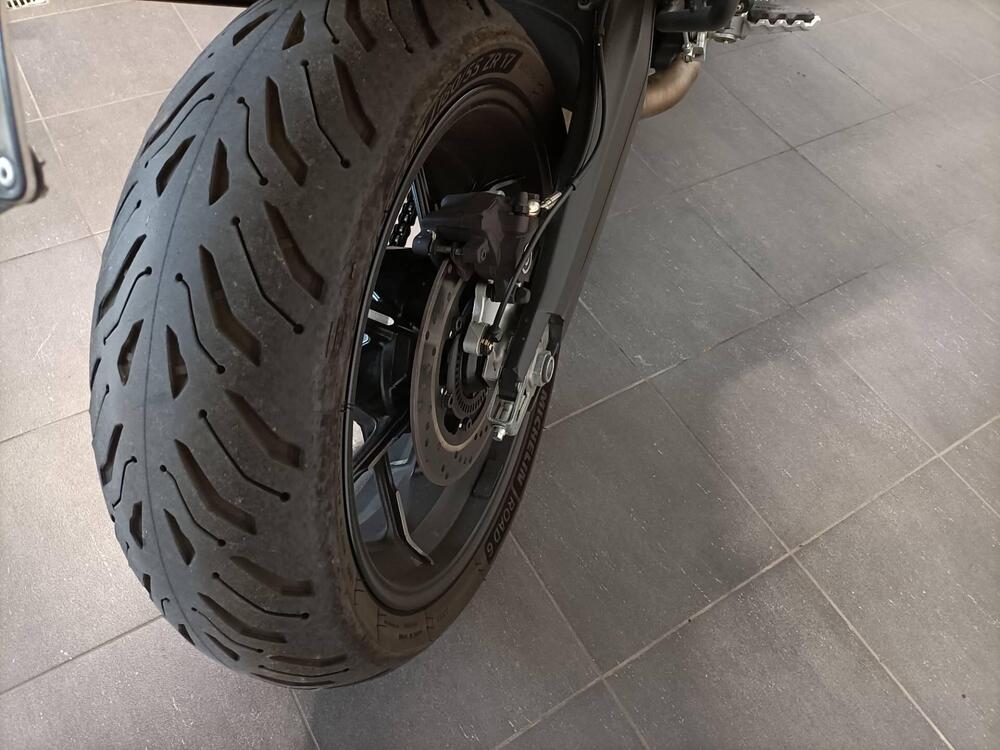 Ducati Scrambler 1100 (2018 - 20) (10)