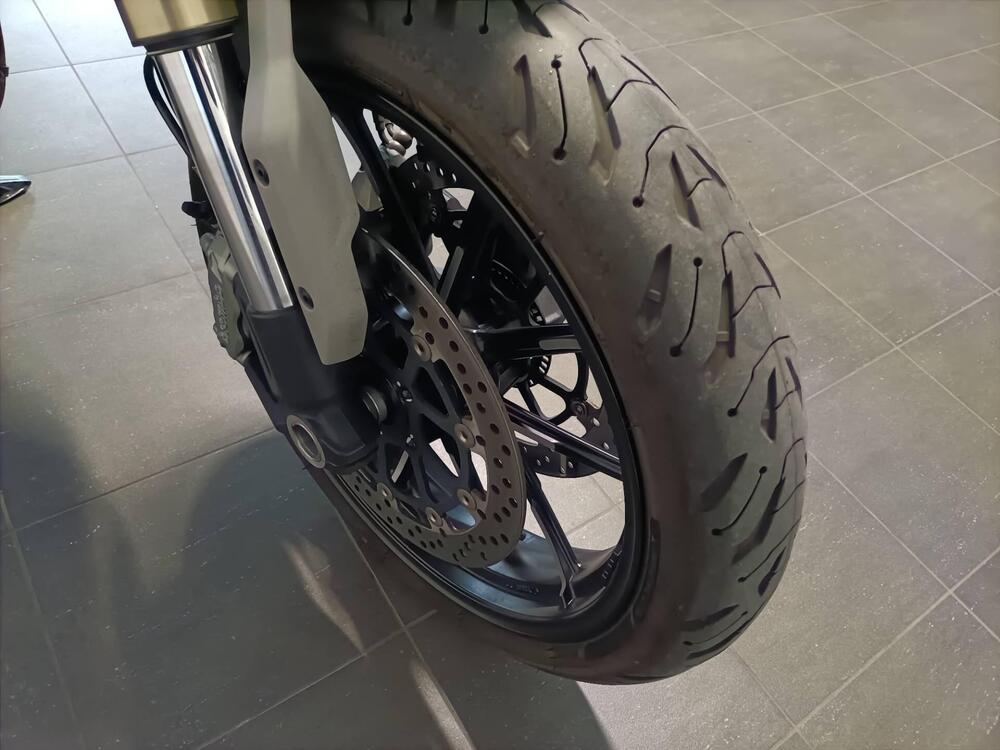 Ducati Scrambler 1100 (2018 - 20) (11)