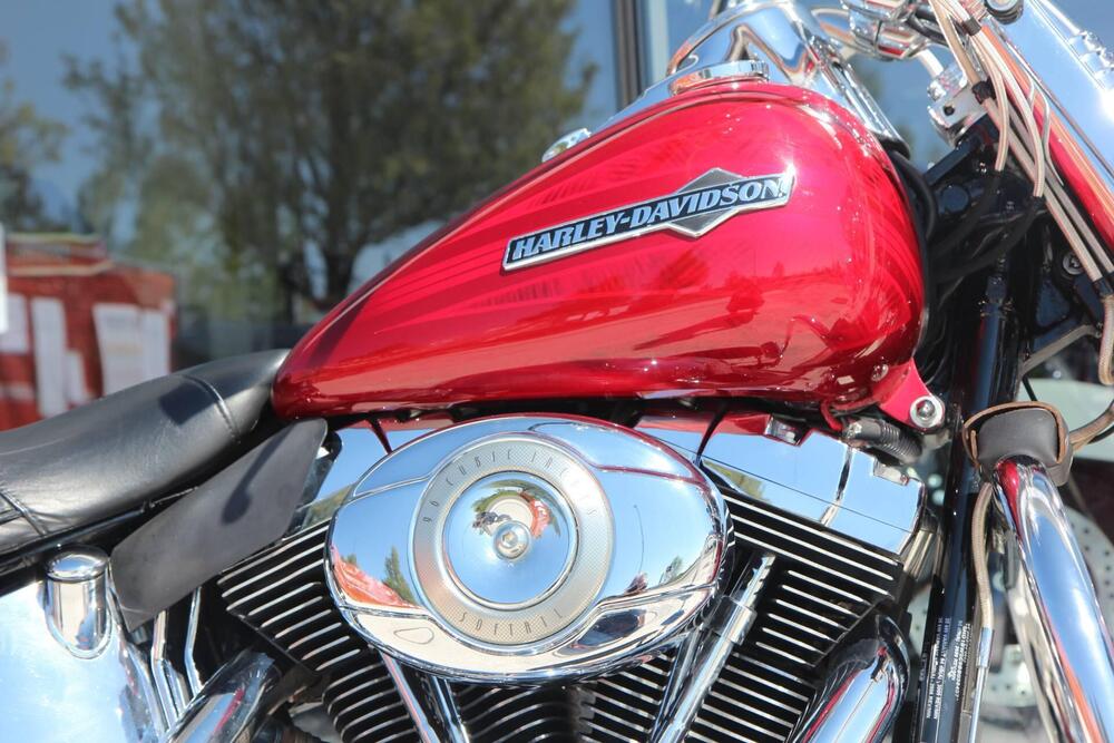 Harley-Davidson 1584 Heritage Classic (2008 - 10) - FLSTC (14)