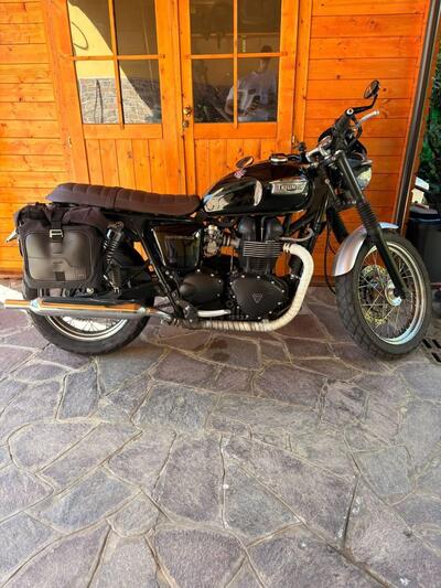 Triumph Bonneville 800 (2002 - 07) usata