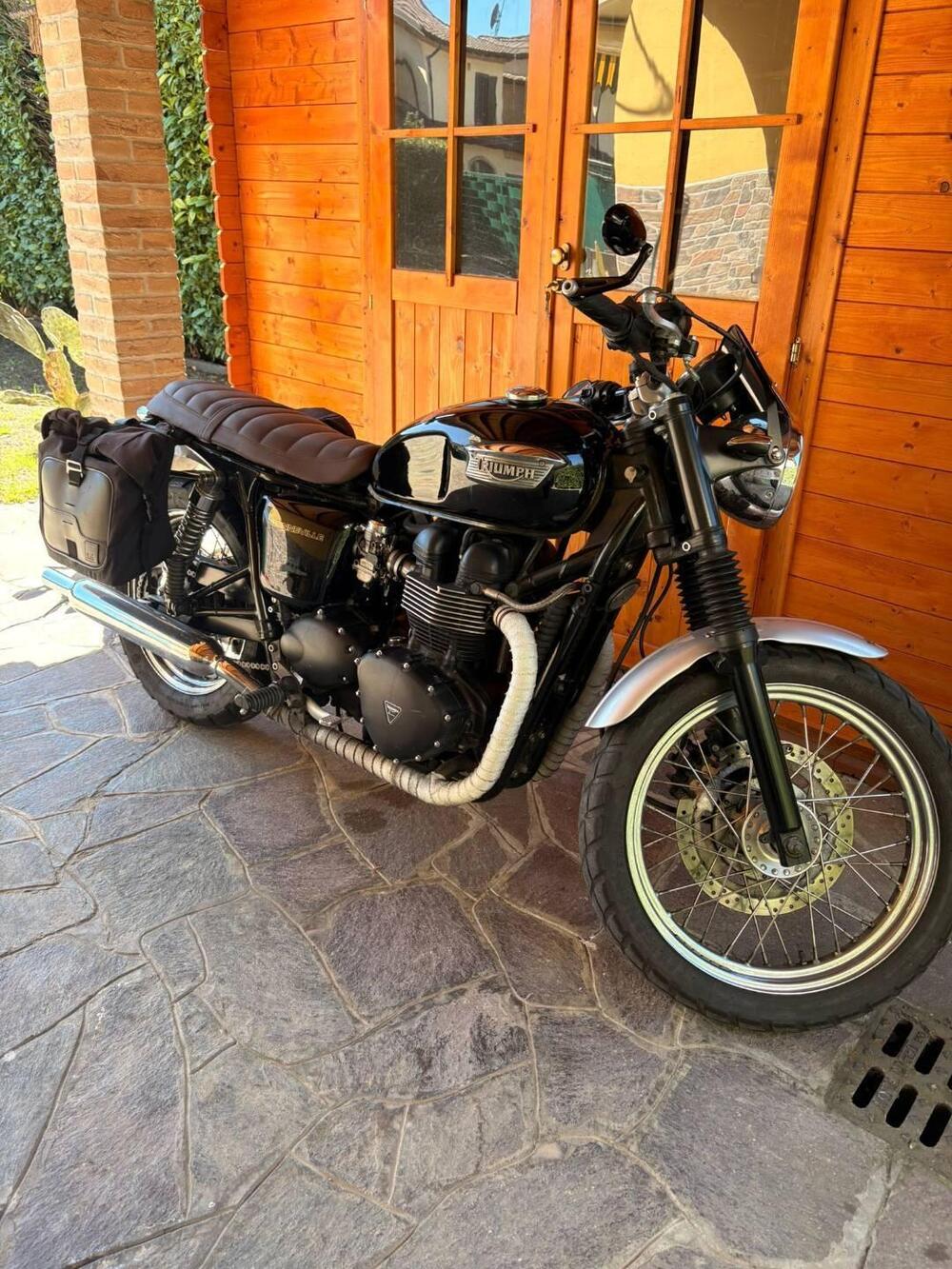 Triumph Bonneville 800 (2002 - 07) (2)