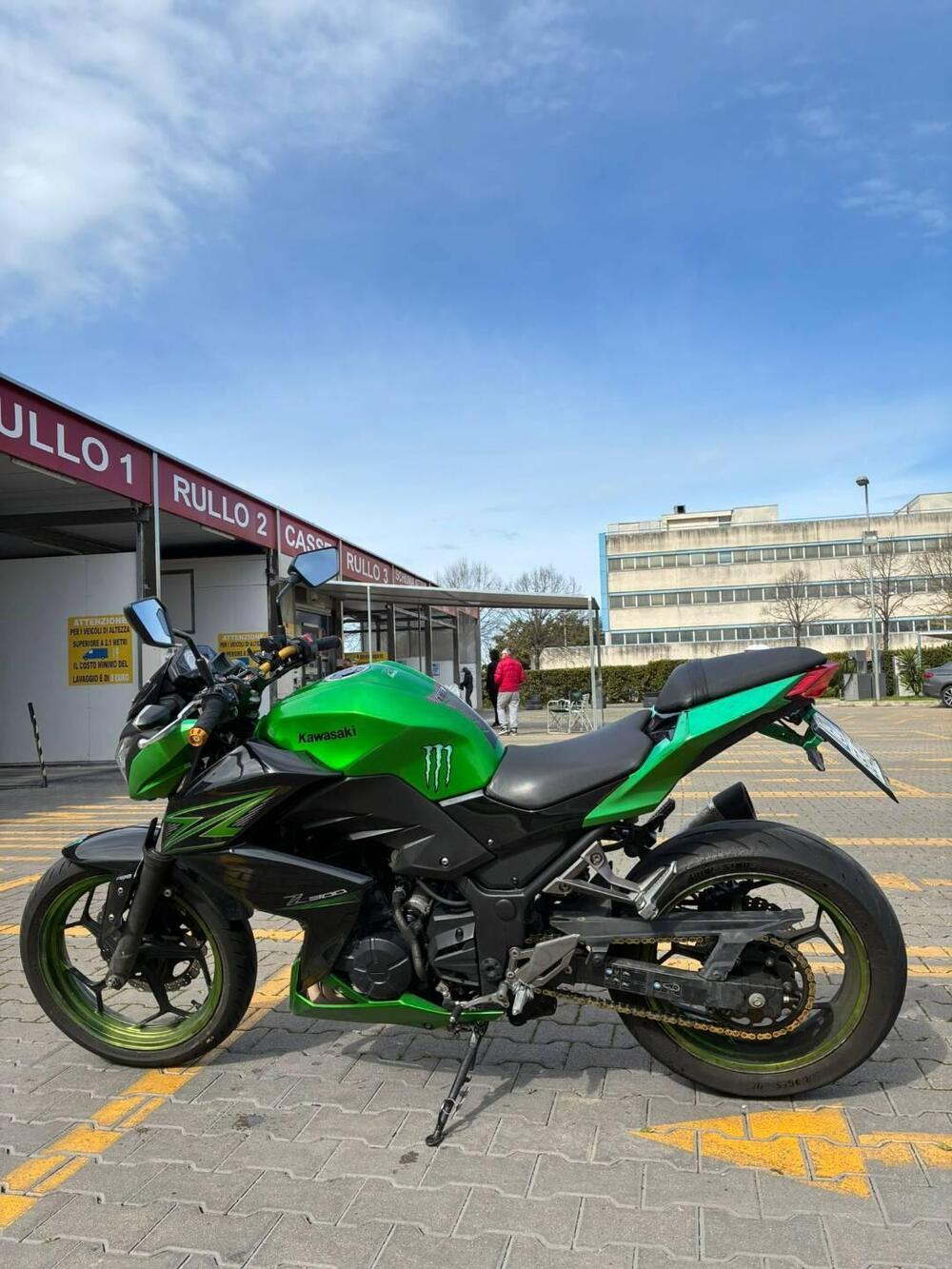 Kawasaki Z 300 ABS (2015 - 16) (2)