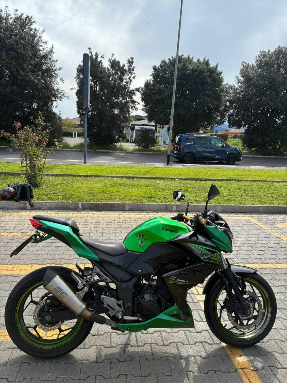 Kawasaki Z 300 ABS (2015 - 16) (3)