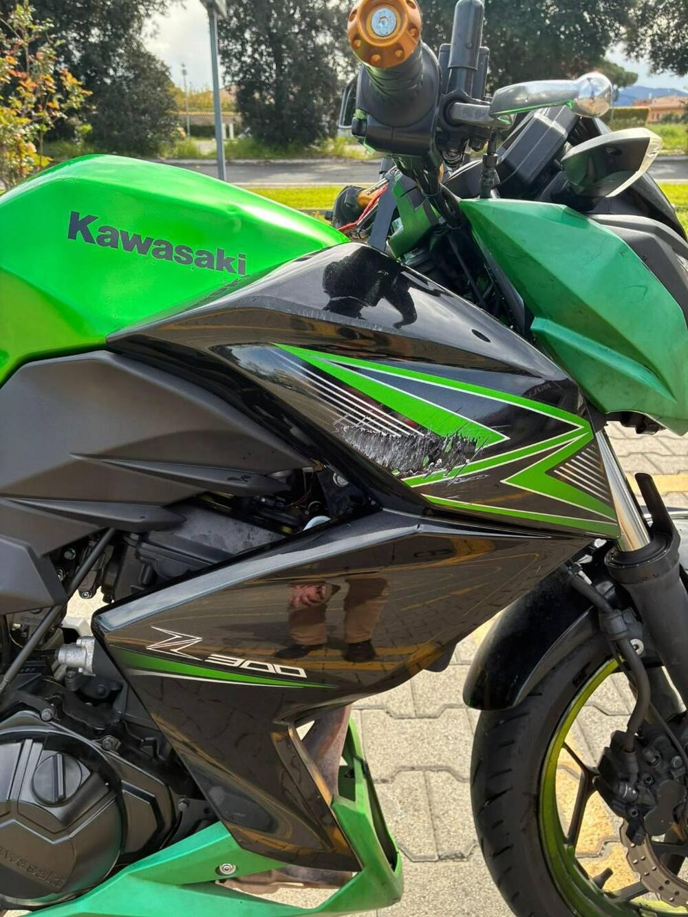 Kawasaki Z 300 ABS (2015 - 16) (5)